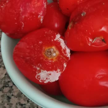 Profilo Buzdolabı Memnun Değilim