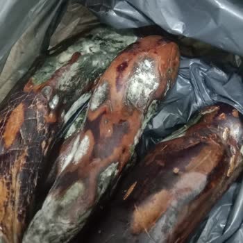 Profilo Buzdolabı Memnun Değilim