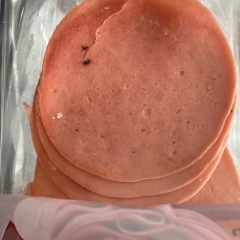 Lezita Bozuk Ve Böcekli Salam