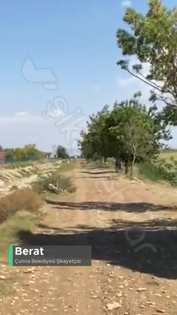 Çumra Belediyesi Ağaç Budama Belediye Elma Bahçesinin Yolu videonun kapak resmi