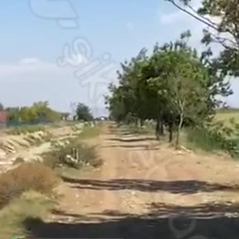Çumra Belediyesi Ağaç Budama Belediye Elma Bahçesinin Yolu
