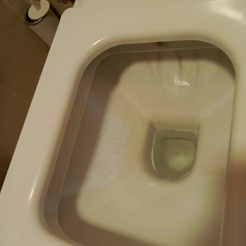 Kale Klozet Kalitesi?