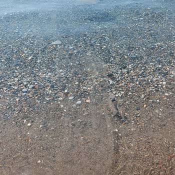 Milas Belediyesi Ören Yat Limanına Bağlı Deniz Kirliliği!