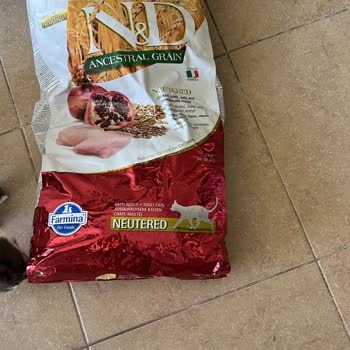 Secovet Hatalı Ürün Gönderimi Ve Müşteriye Dönüş Yapmama