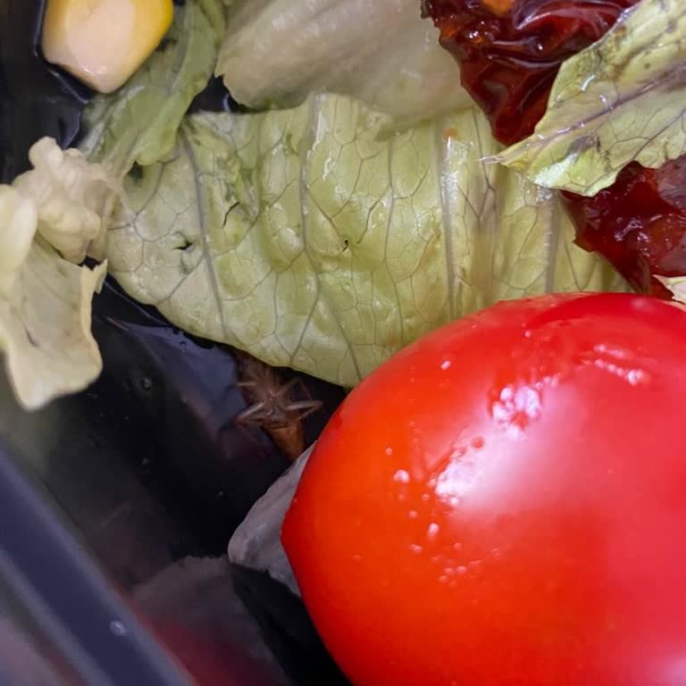 Yemeksepeti Yemekten Böcek Çıktı