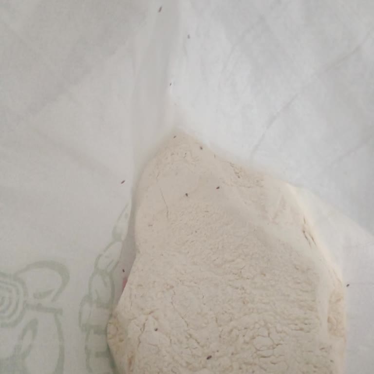 Engross Market Unum Böceklenmiş Çıktı