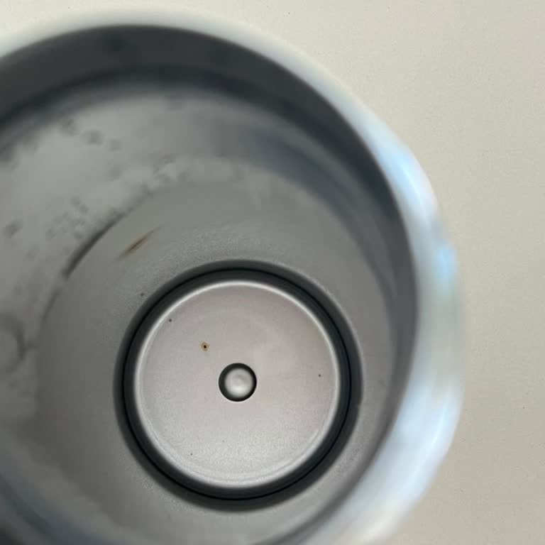 Stanley Çelik Denildi Ama Paslandı