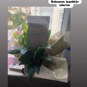 Çiçek Sepeti 3 Ürüne 1 Ürün Getirdi Parasını 3 Ürün Olarak Aldı