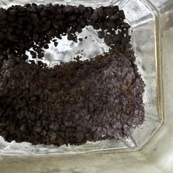 Проблема с Jacobs: Плесень и затвердевание