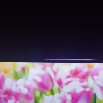 Onvo TV İle Yaşanan Sürekli Sorunlar Ve Yetersiz Servis Hizmeti