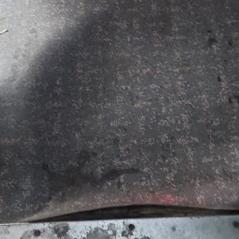 Lüks Aydın Turizm İle Kabus Gibi Seyahat Deneyimi