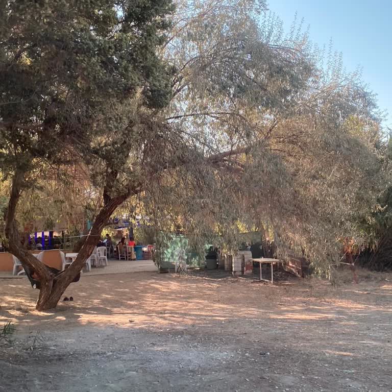 Dolungaz Camping Çalışanların Saygısız Tavırları Ve İşletme Düzeni Sorunları