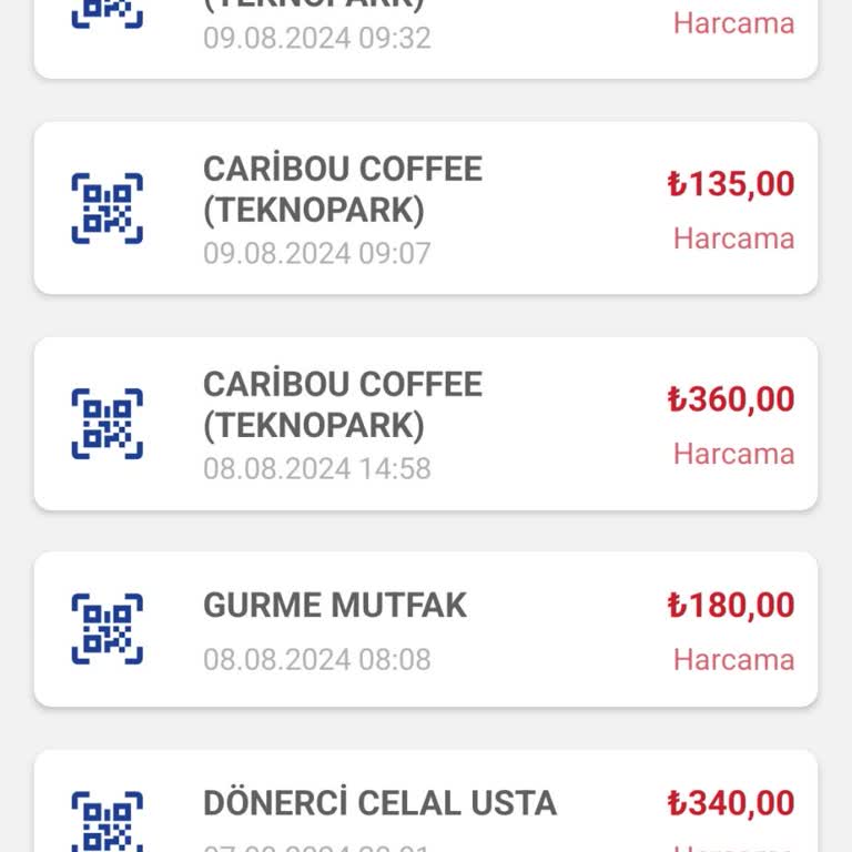 Setcard Kredi Düzelt Para Çekilmesi