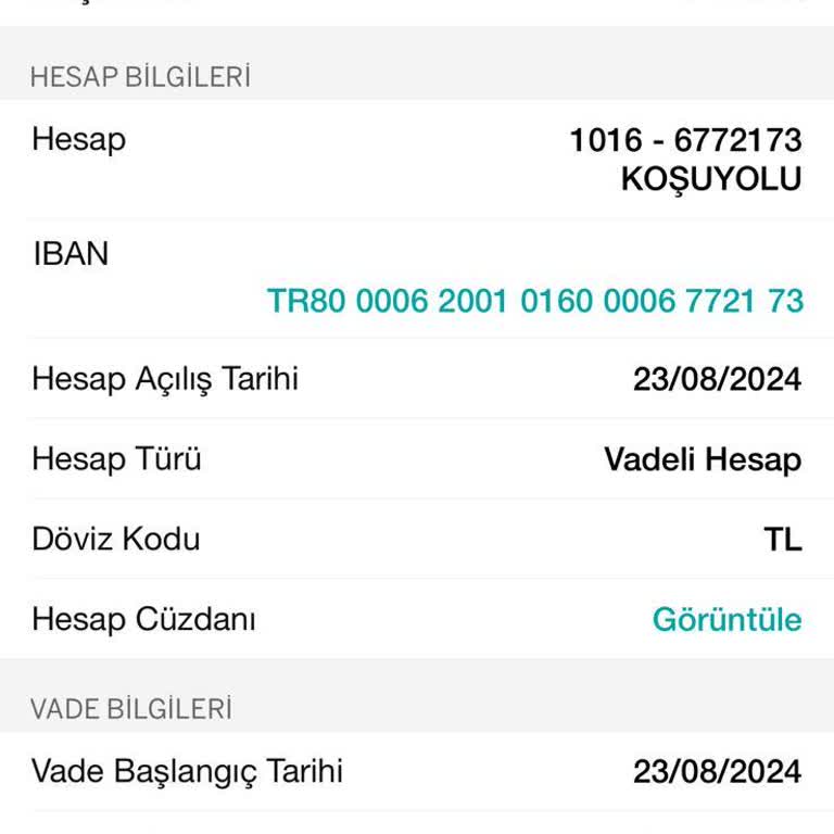 On Dijital Bankacılık On Bankasının Ön Onaylı Kredi Garipliği