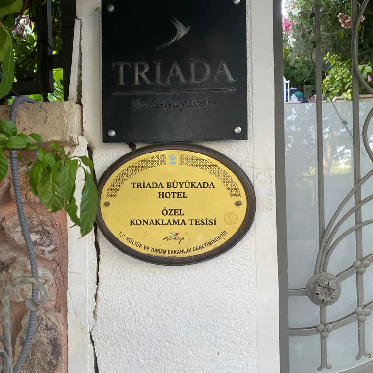 Triada Büyükada Hotel Şikayet, Çözüm Üretilmemesi