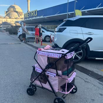 Metro Market Hayvan Yasağı