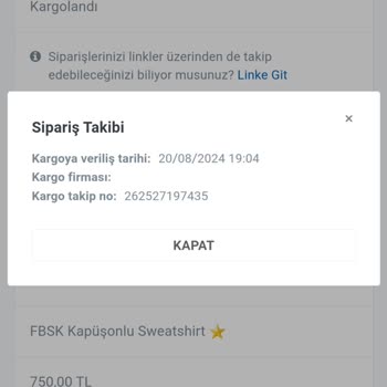 Shopier Nasıl İade Yapılır