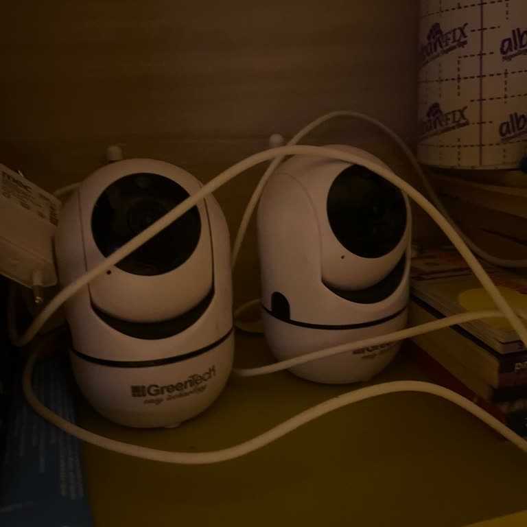 Green Tech Teknik Destek Alamıyorum.