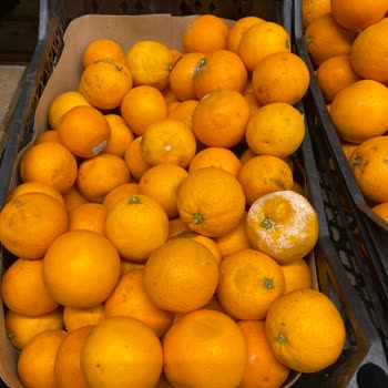 Metro Market Ayvalık Şubesi Sorunlar Bitmiyor