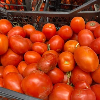 Metro Market Ayvalık Şubesi Sorunlar Bitmiyor