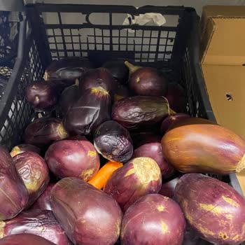 Metro Market Ayvalık Şubesi Sorunlar Bitmiyor