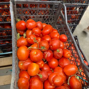 Metro Market Ayvalık Şubesi Sorunlar Bitmiyor