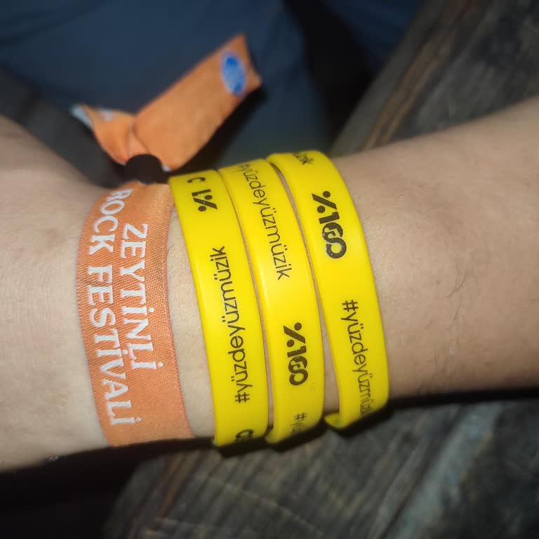 Tuborg Zeytinli Rock Festivali'nde Hayal Kırıklığı: Yüksek Fiyatlar Ve Kötü Organizasyon