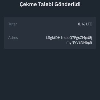 Discord Üzerinde Güven Sorunu Ve Hakaret