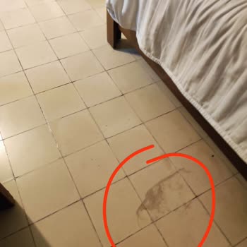 Deep Nature Meksika Turu Hayal Kırıklığı Ve Kötü Deneyim