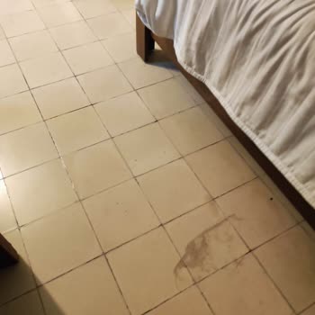 Deep Nature Meksika Turu Hayal Kırıklığı Ve Kötü Deneyim