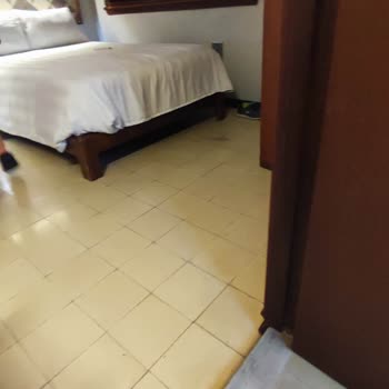 Deep Nature Meksika Turu Hayal Kırıklığı Ve Kötü Deneyim