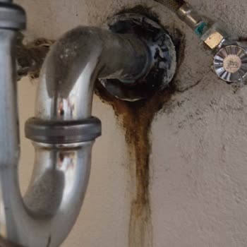 Deep Nature Meksika Turu Hayal Kırıklığı Ve Kötü Deneyim