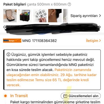 Temu Ve Gümrük Sorunu