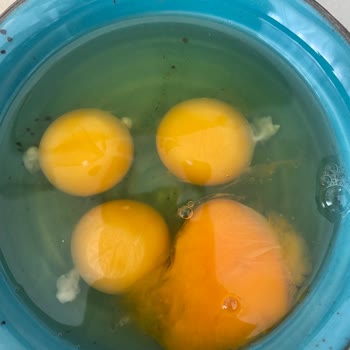 Mlife Bio Organik Yumurta Bozuk