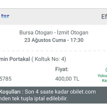 Efetur Ve Obilet Firmalarından Bilet Alırken Yaşanan Sorunlar