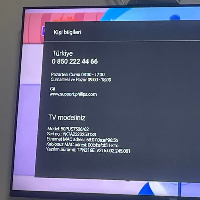 PHILIPS TV Play Store Yok Mu