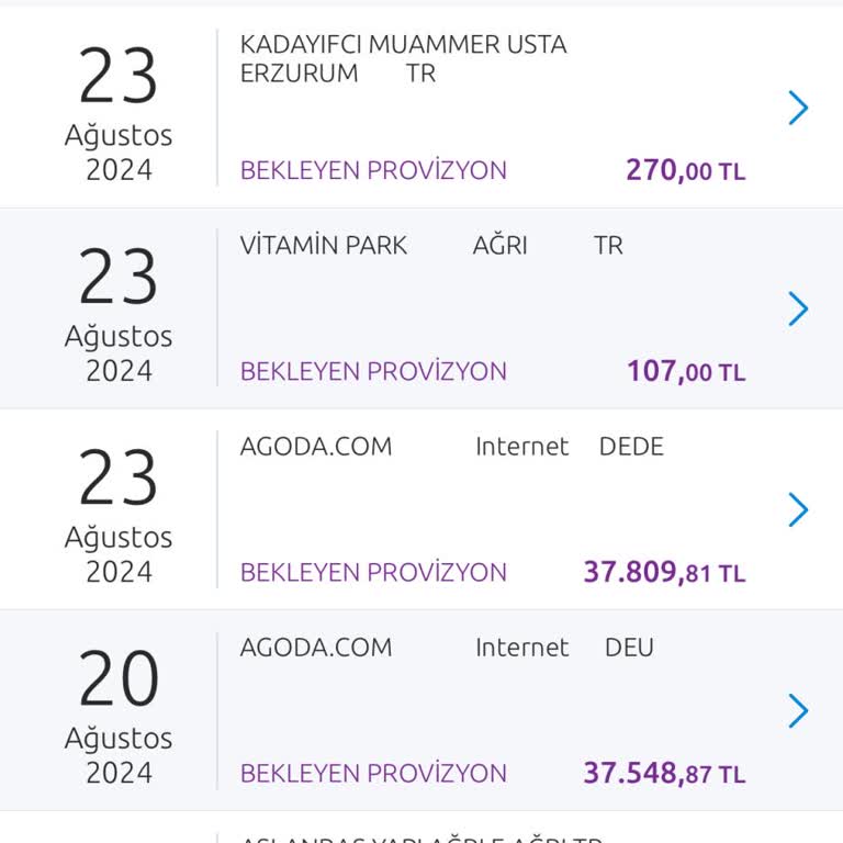 Agoda İkinci Kez Kredi Kartından Ücret Çekilmesi