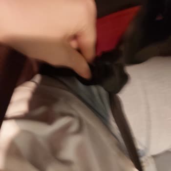 Kamil Koç Emniyet Kemeri Bozuk