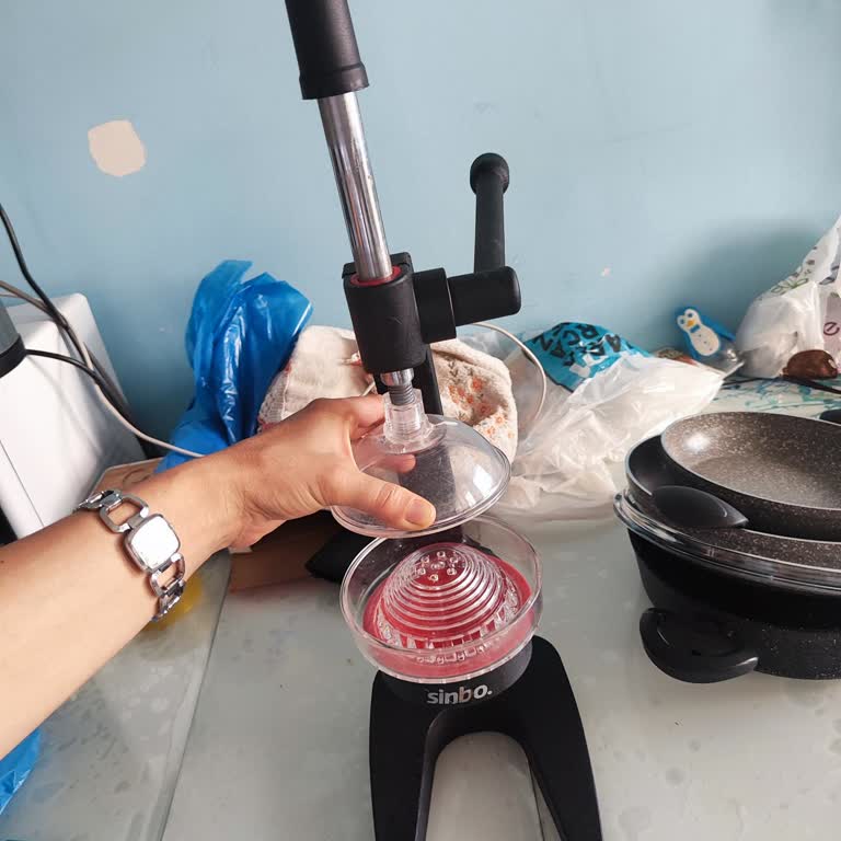 Sinbo Kollu Meyve Sıkacağı