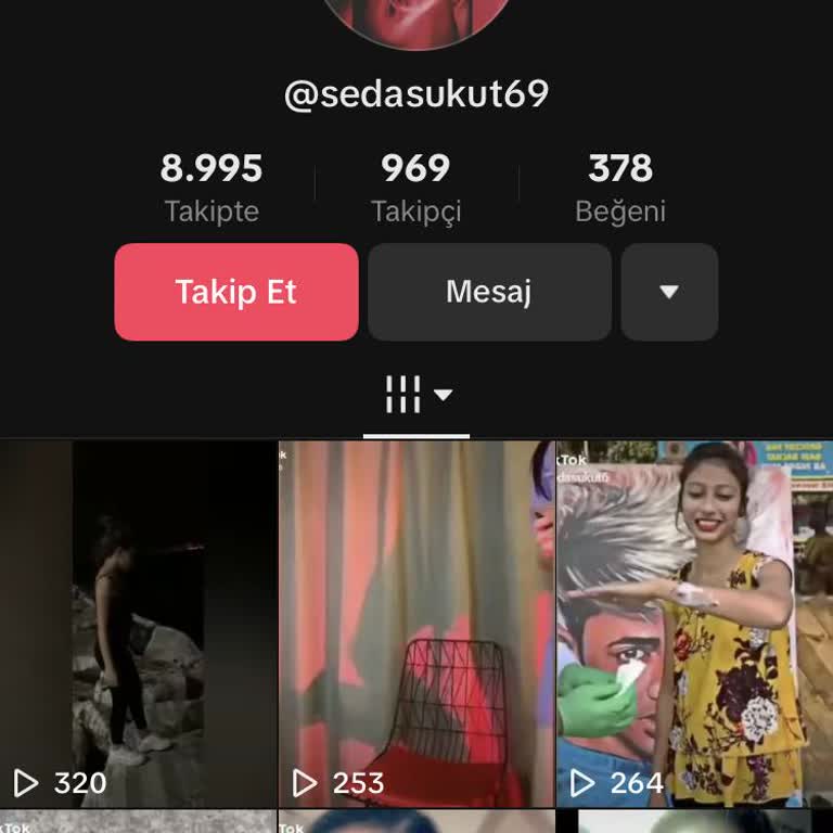 TikTok Hesabıma Giriş Yapamıyorum
