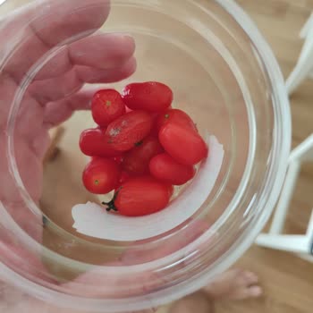 Macro Center'dan Aldığım Ürünler Çürük Çıktı