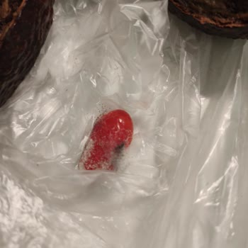 Macro Center'dan Aldığım Ürünler Çürük Çıktı