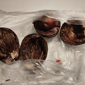 Macro Center'dan Aldığım Ürünler Çürük Çıktı