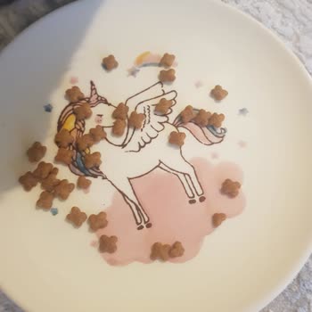 Trendyol'dan Sahte Kedi Maması Ve İade Sorunları