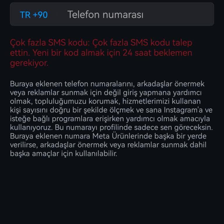 Instagram Hesabıma Giremiyorum