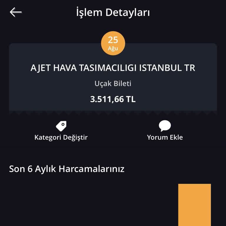 Ajet Bilet Almama Rağmen Uçuş Bilgilerim Gözükmüyor