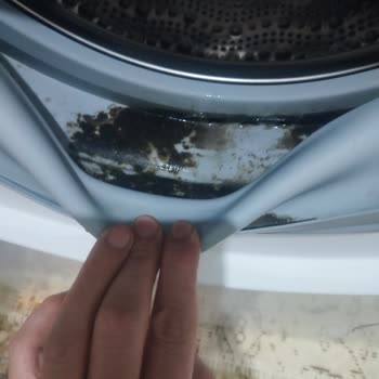 Bosch Çamaşır Makinemin Lastiği Yine Küflendi
