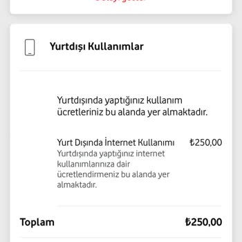 Yurt Dışı İnternet Paketi ve Fatura Sorunu