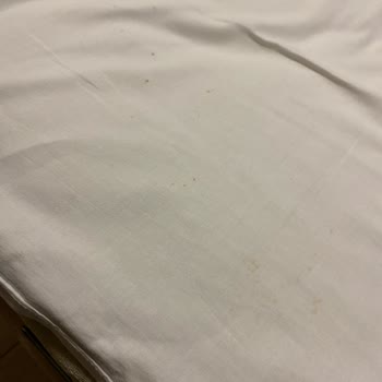 Hastalık Satan Otel : İstanbul Ümraniye Zin D Home Dudullu Suits Otel