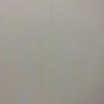 Hastalık Satan Otel : İstanbul Ümraniye Zin D Home Dudullu Suits Otel